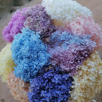 Dekorasi pernikahan bunga asli diawetkan Hydrangea asli obral Anna Hortensia