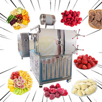 Séchoir industriel de congélation de fruits, grande capacité abordable 30kg 100kg par lot Machine de séchage de congélation de légumes