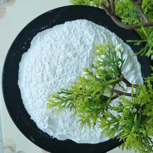 Precio de fábrica Hornear Lavado Soda Ceniza en polvo Hornear Soda Bicarbonato de sodio - Product Image 5