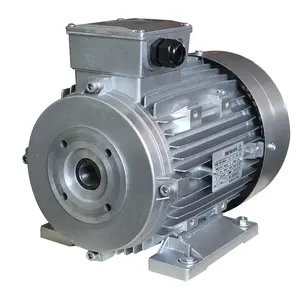 3HP/2.2kW 240V المحرك الكهربائي 24 مم العمود المجوف 1400 Rpm الضغط الغسالة