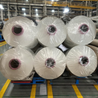 SCY 2020D.2030D haute résistance haute ténacité élastique Spandex recouvert de fil de Nylon fil filé fil à motif brut pour le tissage à tricoter