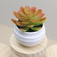 Mini Lotus Artificiel en Plastique en Gros pour Décoration de Table, Plante Imitation Succulente, Fleur Artificielle Verte, Bonsaï
