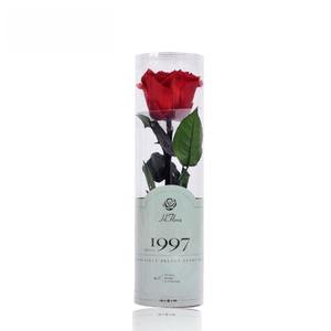 Rosa Preservada Hecha a Mano |   Decoración para Bodas y Regalos para el Día de San Valentín al por Mayor a <span class=keywords><strong>Precio</strong></span> de Fábrica - Product Image 2