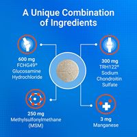 Complément alimentaire pour la santé des articulations, glucosamine pour chiens, plus chondroïtine MSM, soutien des articulations de la hanche, comprimés à mâcher longue durée pour toutes les races
