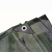 Meilleur prix Chine PE bâche bâche en plastique robuste lona de tarp rouleau camion/conteneur/machine couverture