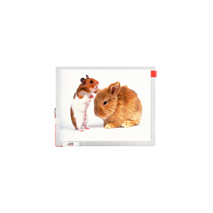 TM101JVHG44-00 LCD LCM Revestimiento duro antideslumbrante (6H) 10,1 pulgadas 1280(RGB)*800 WXGA 149PPI Pantalla LCD de alta calidad - Product Image 1