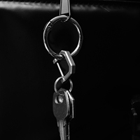 TGZUO Mousqueton porte-clés en titane à verrouillage par vis, anneau en D, anti-perte, robuste, support de clés, connecteur utilitaire EDC à fermeture par boulon