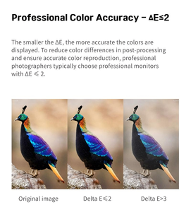 จอแสดงผล TCOLOR อลูมิเนียม 32 นิ้ว 6k IPS สำหรับสตูดิโอ HDR600 จอคอมพิวเตอร์ 6k พร้อมพอร์ต USB-C สำหรับงานออกแบบและช่างภาพ - Product Image 6