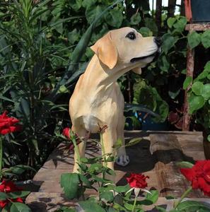 Estatua de Perro <span class=keywords><strong>Labrador</strong></span> Dorado Realista para Exteriores, Escultura Simulada para Amantes de las Mascotas, Colección de Artesanías de Resina, Figura de Perro de Regalo - Product Image 2