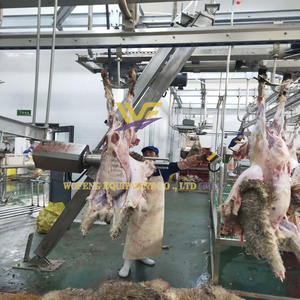 Équipement d'abattoir pour chèvres, machines de <span class=keywords><strong>boucherie</strong></span>, ligne d'abattage de moutons, machine à écorcher, usine d'abattoir - Product Image 3