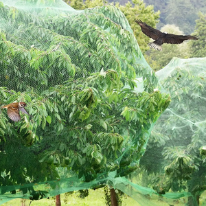 Đen trắng xanh kích thước tùy chỉnh chống <span class=keywords><strong>Bird</strong></span> Mist Net Polyethylene chống <span class=keywords><strong>bird</strong></span> Bảo vệ Net - Product Image 2