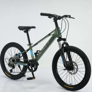 Fabrika sıcak satış ucuz bisikletler 20 inç 7 hız magnezyum alaşımlı gövde çocuk dağ bisikleti