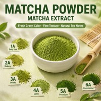 Poudre de Matcha 100g Sachet Échantillon Qualité Culinaire 800 Mesh pour Commandes d'Essai Petites Entreprises