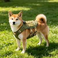 Gilet tactique personnalisé en tissu Oxford durable pour animaux de compagnie, manteau rafraîchissant robuste, harnais de poitrine et laisses pour l'entraînement extérieur des chiens