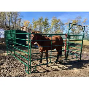 2023 USA Texas Hot Selling Corral / Light Heavy duty Livestock Panels / Goat Cattle Horse Panels & Walk trough Gates