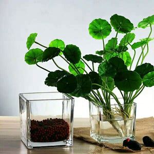 Qualité européenne Premium Verre Mexicain Vases - Product Image 2