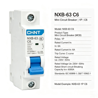 Disjoncteur miniature (MCB) CHINT NXB-63 D20A 1P/2P en cuivre PA66 Courbe D 20A 6kA IP20 Certifié CE CB Stock usine