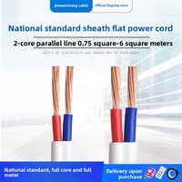 Nationaler Standard Reinkupferkern PVC BVVB Unterirdisches Ummanteltes Kabel 0,75/1/1,5/2,5/4/6 Quadrat Doppelt Parallel Verseiltes Flachkabel
