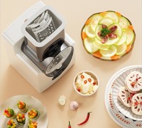 Gadget de cuisine pour fruits et légumes, lame en acier inoxydable remplaçable, trancheur de pommes de terre, râpe à fromage, outil électrique pour légumes