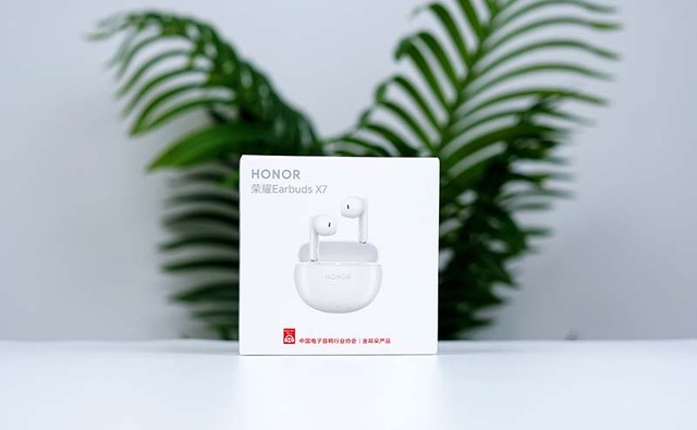 Ho nor Earbuds X7 Call Noise Cancelling 40 Hours Battery Life True Wireless Earphone BT 5.3 IP54 TWS Earphone
