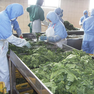 BQF Premium Legumes Congelados Folha De Espinafre Cortada Em Cubo E Padrões Cortados Blanched - Product Image 5