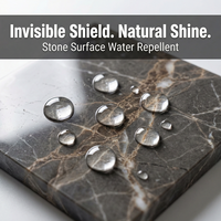 Revêtement hydrofuge pour surfaces en pierre de plâtre, polymère silane-siloxane à base d'eau, résistant aux taches, respirant pour pierre naturelle