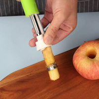 2-in-1 Hoge Kwaliteit Handmatige Fruit- en Schilmesjes van RVS, Handheld Fruitontpitter en Schiltool voor de Keuken