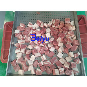 Machine à découper la viande Baiyu <span class=keywords><strong>pour</strong></span> la découpe de cubes de viande de bœuf, de poulet, de porc et de viande congelée dans le traitement alimentaire commercial - Product Image 2