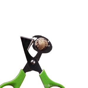 1 pièce Ciseaux à œufs pour pigeon et caille, ouvre-œufs, trancheurs d'œufs, outils de cuisine, accessoires pour femmes au foyer, gadgets pratiques - Product Image 6