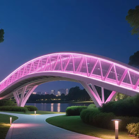 Bande néon flexible sans points 16x16mm 24V 11W 120 LED IP67 étanche en silicone CE pour aménagement paysager extérieur et éclairage architectural