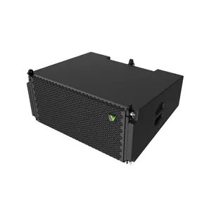 Hoge Kwaliteit Dual 10 Inch Rms 900W Indoor/Outdoor Line Array Geluid