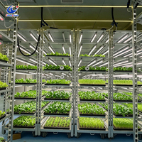 Chambre de germination climatisée pour semences avec support personnalisé ODM