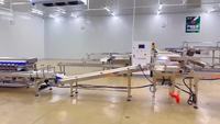 Machines d'emballage de haute précision, peseuse multi-têtes pour machine d'emballage de boîtes de myrtilles