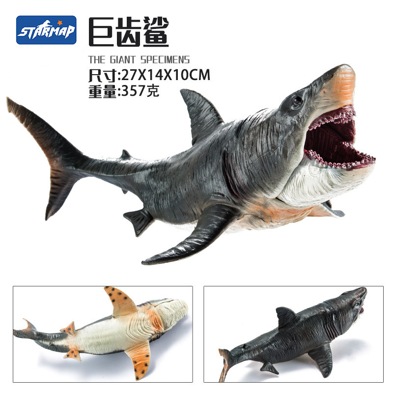 Megalodon แข็ง27ซม. (ปากสามารถเปิดและปิดได้)