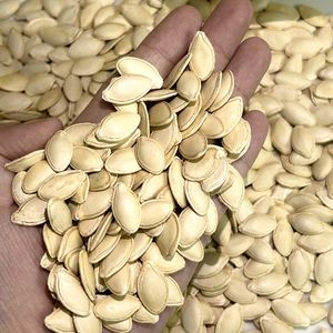 Graines de citrouille biologiques de haute qualité à bon prix Vente en gros en usine en Chine - Product Image 2