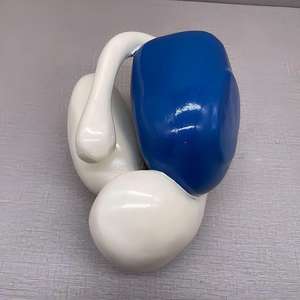 Modèle des ganglions basaux ventriculaires - Modèle anatomique du système nerveux humain pour l'enseignement de <span class=keywords><strong>la</strong></span> <span class=keywords><strong>neurosciences</strong></span> - Product Image 3