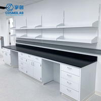 Mesa de Laboratorio de Acero Completo para Hospitales, Escuelas y Comercios, Montada en el Suelo o en la Pared, con Gabinetes Resistentes a Ácidos y Álcalis