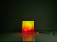 Boîte à lumière LED RGB personnalisée OEM, sculpture lumineuse 3D pour magasin de détail, restaurant, hôtel, intérieur