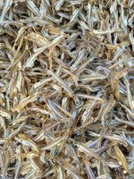 Anchois séchés exceptionnellement propres, sans tête, approvisionnement en vrac, fruits de mer asiatiques, très demandés