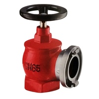 Unique en laiton bouche d'incendie intérieure vanne SNS6565 (afrique du sud type bouche d'incendie. 3 pouces)