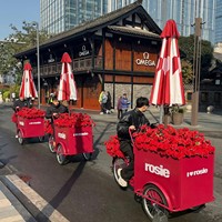 Yicheng Beauty mobiele ijscowagen, fruitkraam, koffiekar, buitenkraam, displaykar, marktkraam te koop