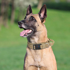 Collar de perro personalizado de estilo militar, costuras reforzadas de nailon duradero y collares tácticos reflectantes para perros al aire libre - Product Image 6