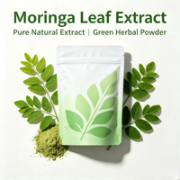 Venta al por mayor de fábrica, muestra gratuita, polvo de hoja de moringa de grado alimenticio 100 mesh para té de hierbas, materia prima para formulación de alimentos funcionales