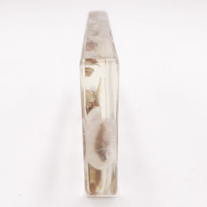 Gelsonlab HSBS-058 एक्रिलिक जीवन चक्र की रेशमकीट नमूना एम्बेडेड जैविक नमूनों - Product Image 5