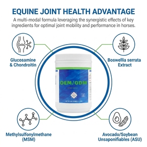 Equine Joint Powder <strong>Glucosamine</strong> Chondroitin MSM ASU Boswellia <strong>Horse</strong> Joint Supplement Equine Health <strong>for</strong> <strong>Horses</strong> - Product Image 3