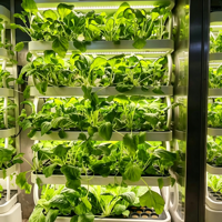 Systèmes de culture hydroponique pour la maison, le jardin et la ferme, jardinière d'intérieur, plante intelligente pour la maison, jardinière intelligente
