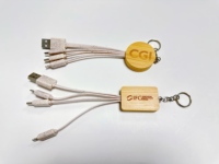 BSCI usine écologique bois bambou 4 en 1 câble de charge usb paille de blé câble de données