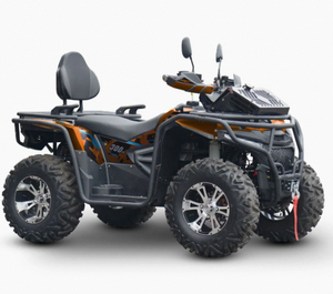 Motor de Aventura de Alta Gama de 300cc, 4 Tiempos, 17kW/6800r/min, Velocidad Máxima 60km/h - Product Image 4