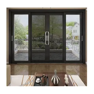 Metal çerçeve sürgülü kapı abd pazarı standart genişlik kayar cam kapi otel satışı için çift tabaka sürgülü kapı tasarımı mutfakta