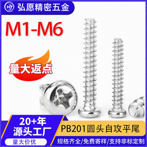 Tornillos autorroscantes de acero inoxidable Prosperity M3 M4 M5 M6 de cabeza redonda Phillips para equipos de transporte ferroviario - Product Image 5